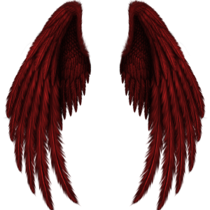 Wings PNG