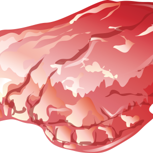 Beef meat PNG