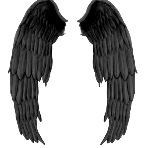 Black evil wings PNG