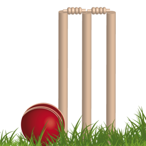 Cricket PNG