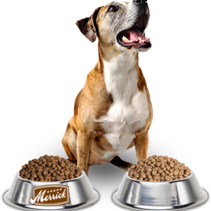 Dog food PNG