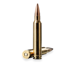 Bullets PNG image