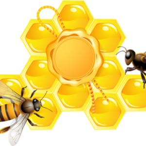 Bee PNG
