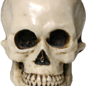 Skull PNG