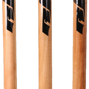Cricket PNG