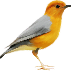 Bird PNG