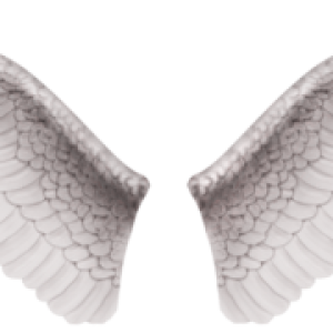 White angel wings PNG