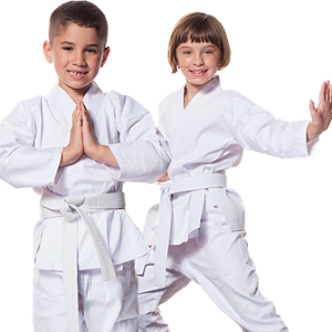 Karate PNG
