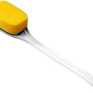 Sponge bath PNG