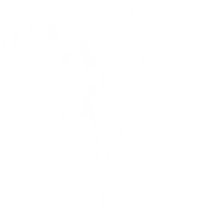 Smoke PNG