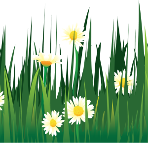 Grass PNG