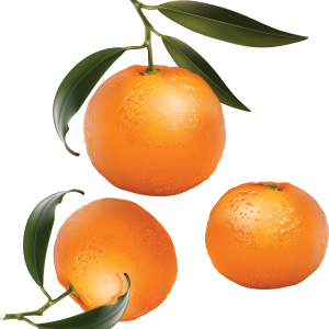 Mandarin PNG