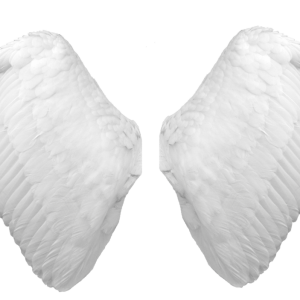 Wings PNG