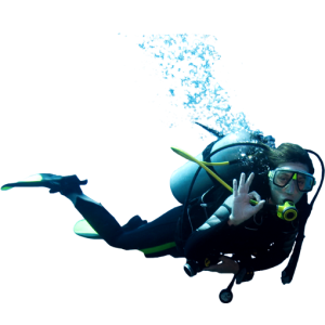 Diver PNG
