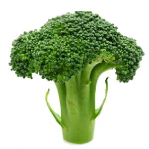 Broccoli PNG