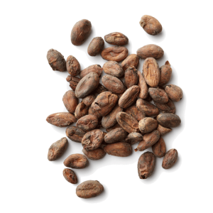 Cacao PNG