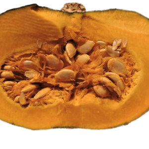 Pumpkin seeds PNG