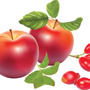 Apples PNG