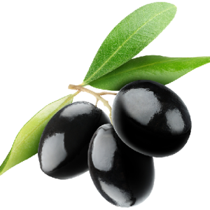 Black olives PNG