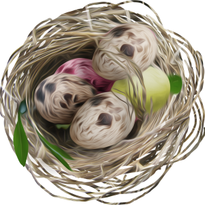 Nest PNG