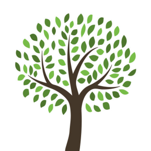 tree PNG