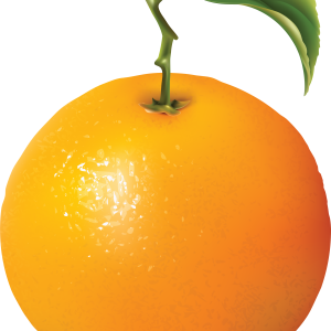 Orange PNG image with gree leaf