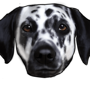 Dalmatian PNG