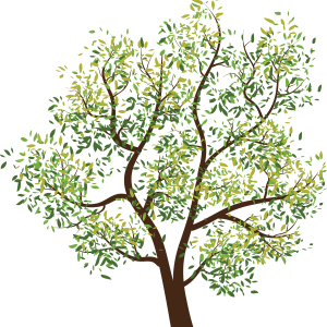 tree png image