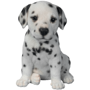 Dog PNG