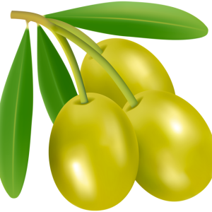 Olives PNG