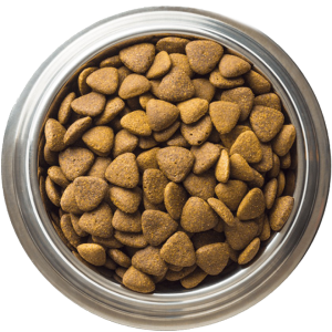 Dog food PNG