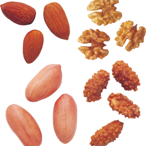 Peanut PNG