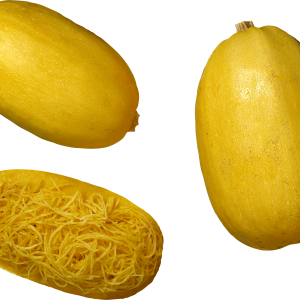 Pumpkin PNG image