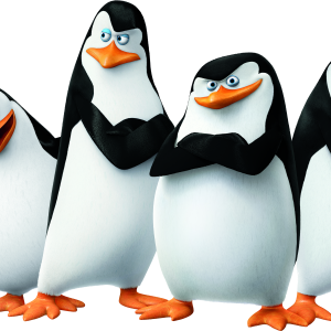 Madagascar penguins PNG