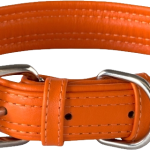 Dog collar PNG