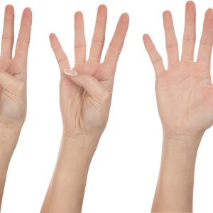 hand PNG