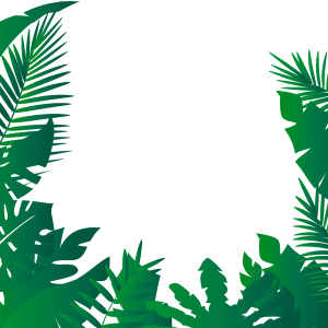 Jungle PNG