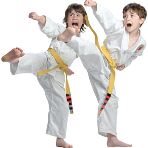 Karate PNG