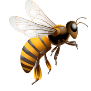 Bee PNG