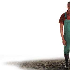 Farmer PNG