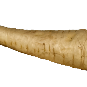 Horseradish PNG