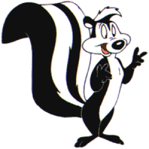 Skunk PNG