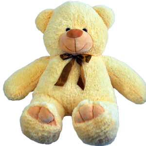 Teddy bear PNG
