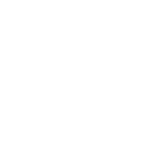 Bone PNG