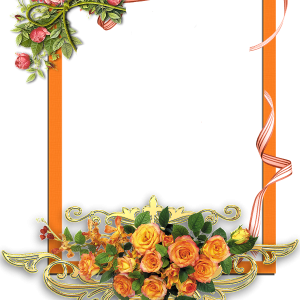 Floral frame PNG