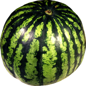 watermelon PNG image