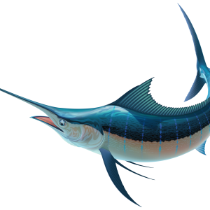Swordfish PNG