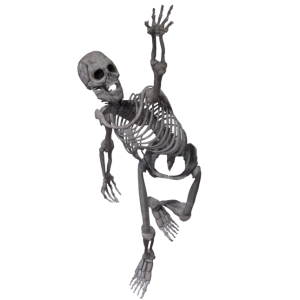 Skeleton PNG