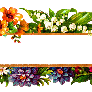 Floral frame PNG