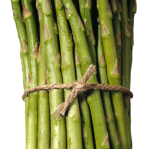 Asparagus PNG